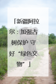 新疆阿拉尔：加强古树保护 守好“绿色文物”