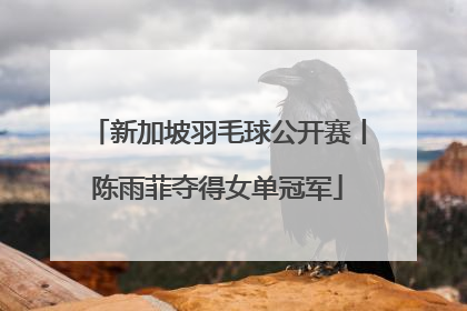 新加坡羽毛球公开赛丨陈雨菲夺得女单冠军