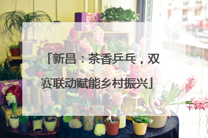 新昌：茶香乒乓，双赛联动赋能乡村振兴