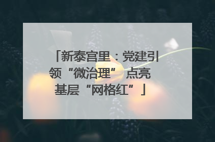 新泰宫里：党建引领“微治理” 点亮基层“网格红”