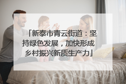 新泰市青云街道：坚持绿色发展，加快形成乡村振兴新质生产力
