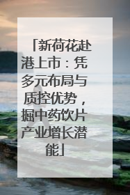 新荷花赴港上市：凭多元布局与质控优势，掘中药饮片产业增长潜能
