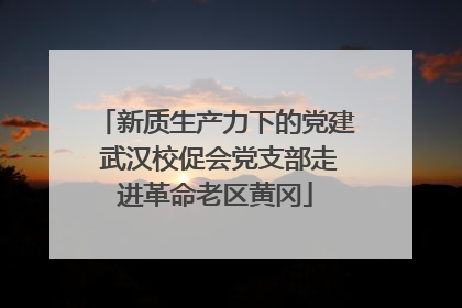 新质生产力下的党建 武汉校促会党支部走进革命老区黄冈