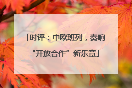 时评：中欧班列，奏响“开放合作”新乐章