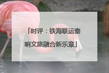 时评：铁海联运奏响文旅融合新乐章