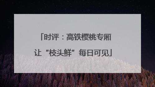 时评：高铁樱桃专厢 让“枝头鲜”每日可见