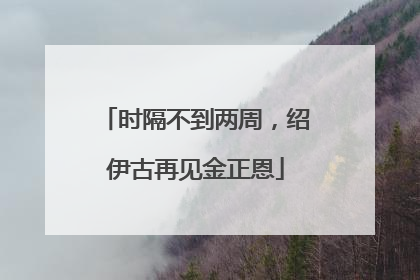 时隔不到两周，绍伊古再见金正恩
