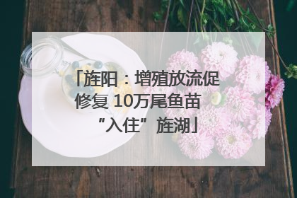 旌阳：增殖放流促修复 10万尾鱼苗“入住”旌湖