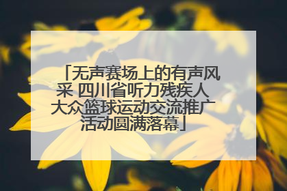 无声赛场上的有声风采 四川省听力残疾人大众篮球运动交流推广活动圆满落幕