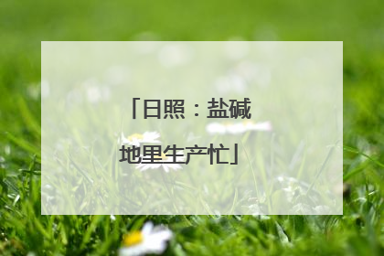 日照：盐碱地里生产忙