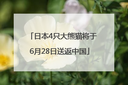 日本4只大熊猫将于6月28日送返中国