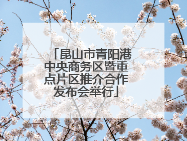 昆山市青阳港中央商务区暨重点片区推介合作发布会举行