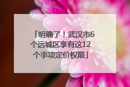 明确了！武汉市6个远城区享有这12个事项定价权限
