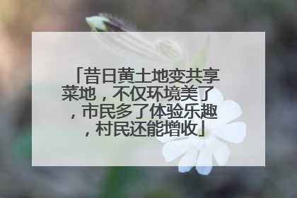 昔日黄土地变共享菜地，不仅环境美了，市民多了体验乐趣，村民还能增收