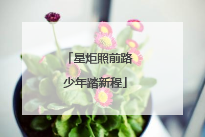 星炬照前路 少年踏新程