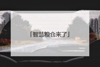智慧粮仓来了