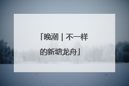 晚潮｜不一样的新塘龙舟
