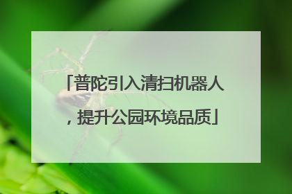 普陀引入清扫机器人，提升公园环境品质
