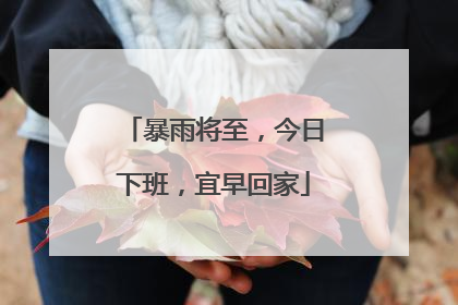 暴雨将至，今日下班，宜早回家