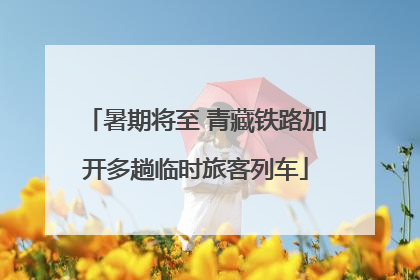 暑期将至 青藏铁路加开多趟临时旅客列车