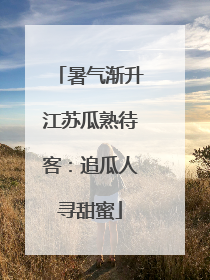 暑气渐升江苏瓜熟待客：追瓜人寻甜蜜