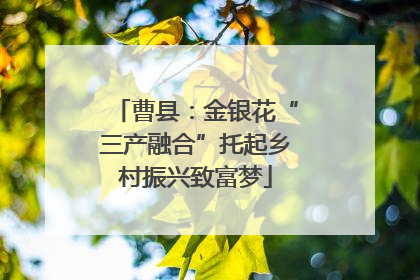 曹县：金银花“三产融合”托起乡村振兴致富梦
