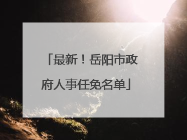 最新！岳阳市政府人事任免名单