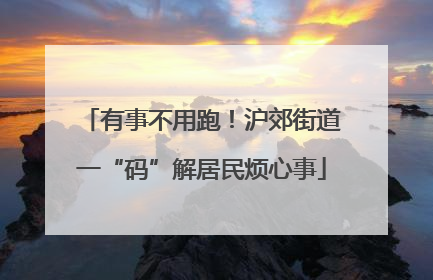 有事不用跑！沪郊街道一“码”解居民烦心事