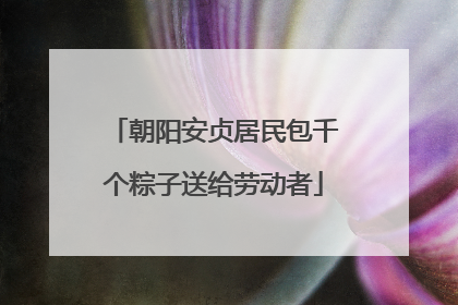 朝阳安贞居民包千个粽子送给劳动者
