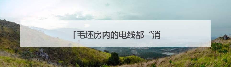 毛坯房内的电线都“消失”了！民警：抓！