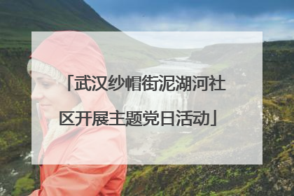 武汉纱帽街泥湖河社区开展主题党日活动