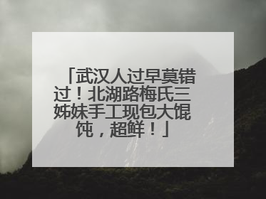 武汉人过早莫错过！北湖路梅氏三姊妹手工现包大馄饨，超鲜！