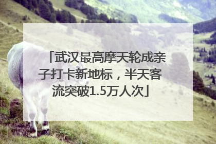武汉最高摩天轮成亲子打卡新地标，半天客流突破1.5万人次