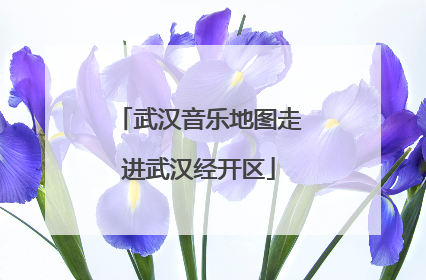 武汉音乐地图走进武汉经开区