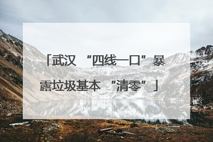武汉 “四线一口”暴露垃圾基本 “清零”