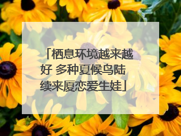 栖息环境越来越好 多种夏候鸟陆续来厦恋爱生娃