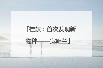桂东：首次发现新物种——宽距兰
