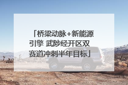 桥梁动脉+新能源引擎 武陟经开区双赛道冲刺半年目标