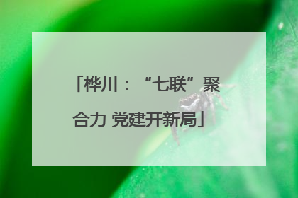 桦川：“七联”聚合力 党建开新局