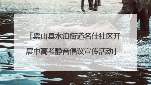 梁山县水泊街道名仕社区开展中高考静音倡议宣传活动
