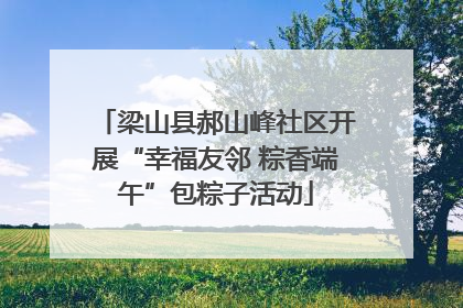梁山县郝山峰社区开展“幸福友邻 粽香端午”包粽子活动