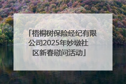 梧桐树保险经纪有限公司2025年妙墩社区新春慰问活动