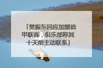 樊振东回应加盟德甲联赛，俱乐部称其十天前主动联系