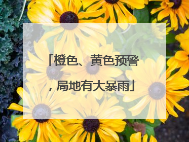 橙色、黄色预警，局地有大暴雨