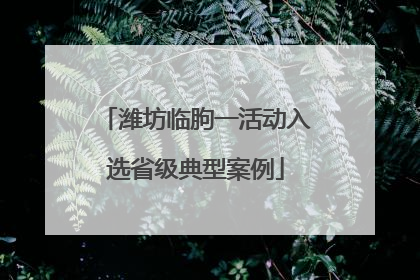 潍坊临朐一活动入选省级典型案例