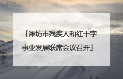 潍坊市残疾人和红十字事业发展联席会议召开