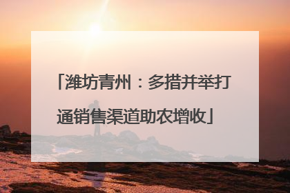 潍坊青州：多措并举打通销售渠道助农增收