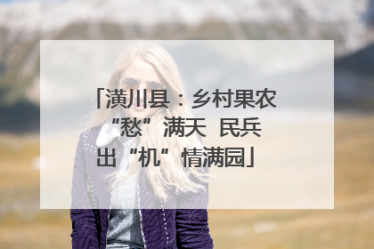 潢川县：乡村果农“愁”满天  民兵出“机”情满园