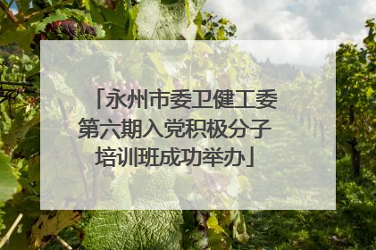 永州市委卫健工委第六期入党积极分子培训班成功举办