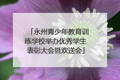 永州青少年教育训练学校举办优秀学生表彰大会暨欢送会